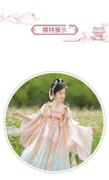 Traditional Hanfu Dress | Pink Purple Green | Ancient Chinese Carnival Cosplay Summer