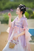 Traditional Hanfu Dress | Pink Purple Green | Ancient Chinese Carnival Cosplay Summer