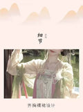 Tang Dynasty Hanfu Gown | Floor-Length Cheongsam Style | Embroidered Printed Full Set
