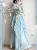 Chiffon Hanfu Dress | Floral Embroidery Fairy Cosplay | Long Elegant Ancient Set