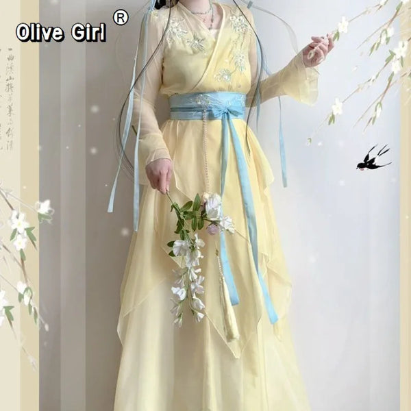 Chiffon Hanfu Dress | Floral Embroidery Fairy Cosplay | Long Elegant Ancient Set