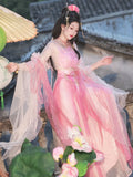 Pink Fairy Tale Hanfu Dress | High-End Floral Embroidery | Flowing Waist-Length Cosplay