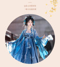 Tang Dynasty Hezi Hanfu Dress | Embroidered Chest-Length Pleated Skirt | Immortal Cosplay
