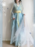 Chiffon Hanfu Dress | Floral Embroidery Fairy Cosplay | Long Elegant Ancient Set