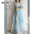 Chiffon Hanfu Dress | Floral Embroidery Fairy Cosplay | Long Elegant Ancient Set