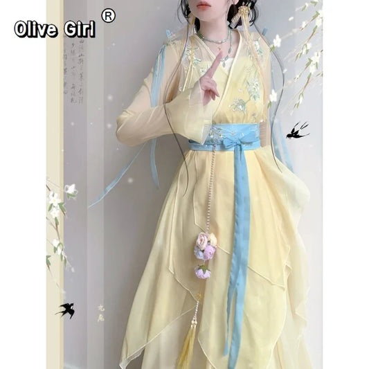 Chiffon Hanfu Dress | Floral Embroidery Fairy Cosplay | Long Elegant Ancient Set