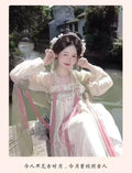 Tang Dynasty Hanfu Gown | Floor-Length Cheongsam Style | Embroidered Printed Full Set