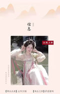 Tang Dynasty Hanfu Gown | Floor-Length Cheongsam Style | Embroidered Printed Full Set