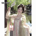 Tang Dynasty Hanfu Gown | Floor-Length Cheongsam Style | Embroidered Printed Full Set
