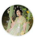 Traditional Hanfu Dress | Pink Purple Green | Ancient Chinese Carnival Cosplay Summer