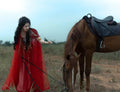 Dunhuang Feitian Hanfu Dress | Exotic Embroidery High-End Cosplay | Silk Road Fairy Set