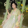 Traditional Hanfu Dress | Pink Purple Green | Ancient Chinese Carnival Cosplay Summer