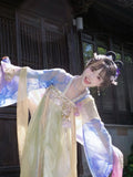 Purple Hanfu Dress | Tang Dynasty Goddess Embroidery | Ancient Fairy Cosplay Set