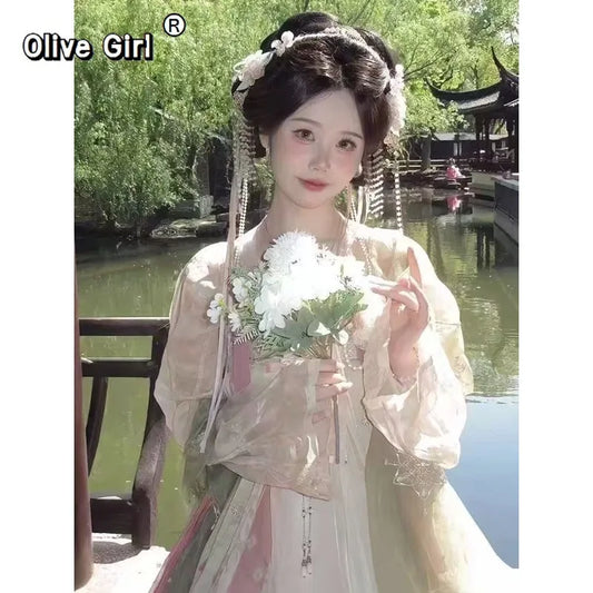 Tang Dynasty Hanfu Gown | Floor-Length Cheongsam Style | Embroidered Printed Full Set